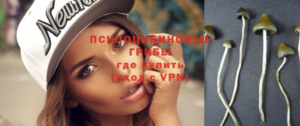 индика Лагань