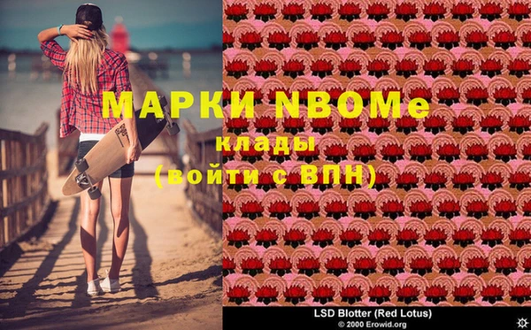 индика Лагань