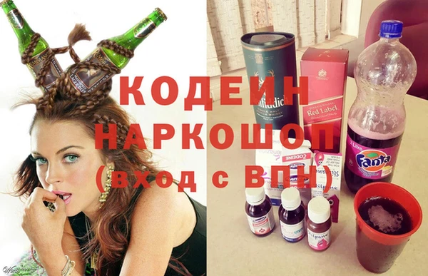 индика Лагань