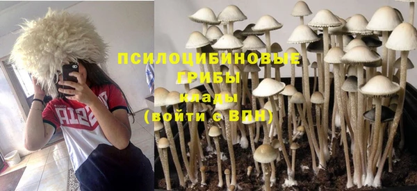 mix Лабытнанги