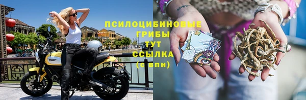 Альфа ПВП Ладушкин