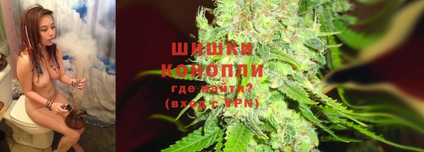 Альфа ПВП Ладушкин