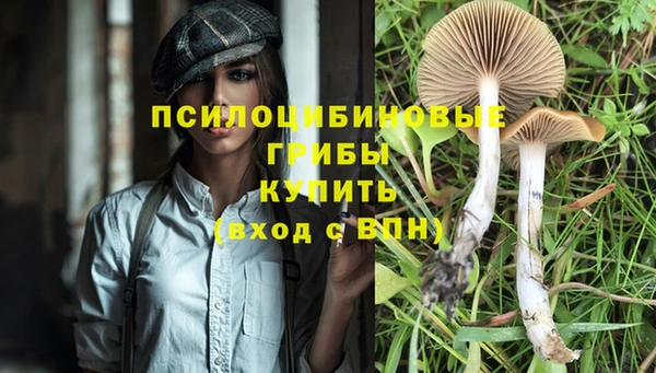 индика Лагань
