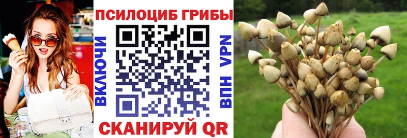 Галлюциногенные грибы ЛСД  цены наркотик  Чухлома 